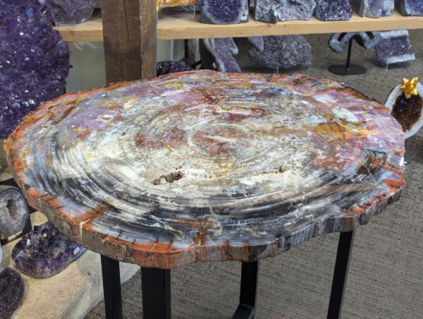 Petrified Wood Table - Image 4