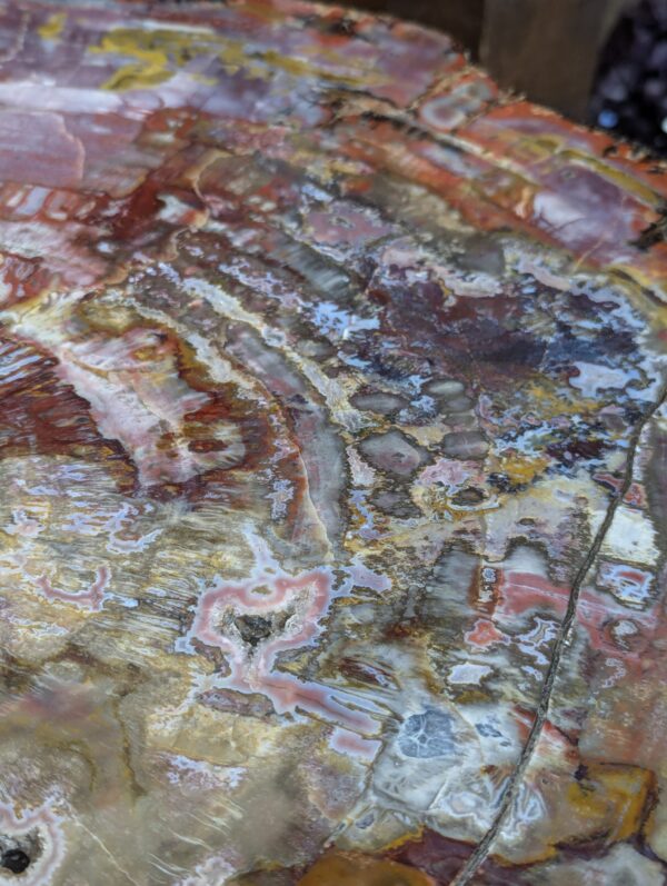 Petrified Wood Table - Image 7