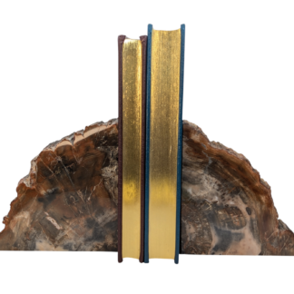 Petrified Wood Bookends