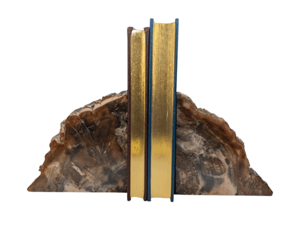 Petrified Wood Bookends
