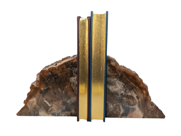 Petrified Wood Bookends