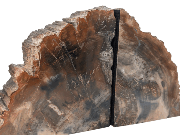 Petrified Wood Bookends - Image 9