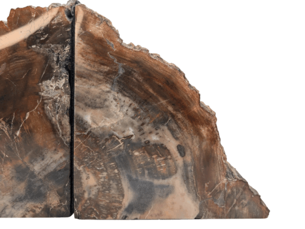 Petrified Wood Bookends - Image 8