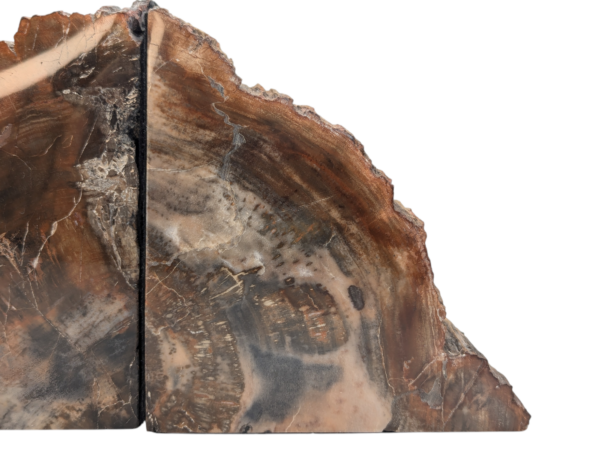 Petrified Wood Bookends - Image 3