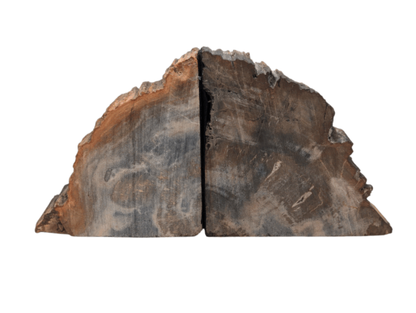 Petrified Wood Bookends - Image 7