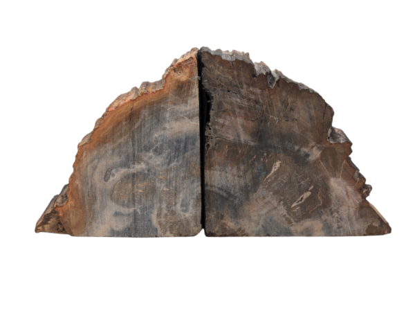 Petrified Wood Bookends - Image 9