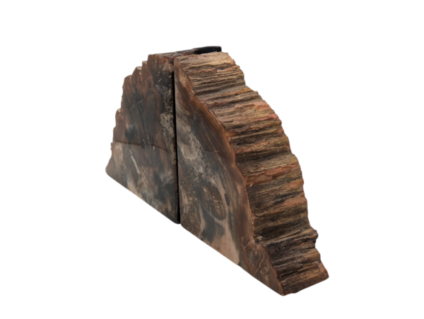 Petrified Wood Bookends - Image 8