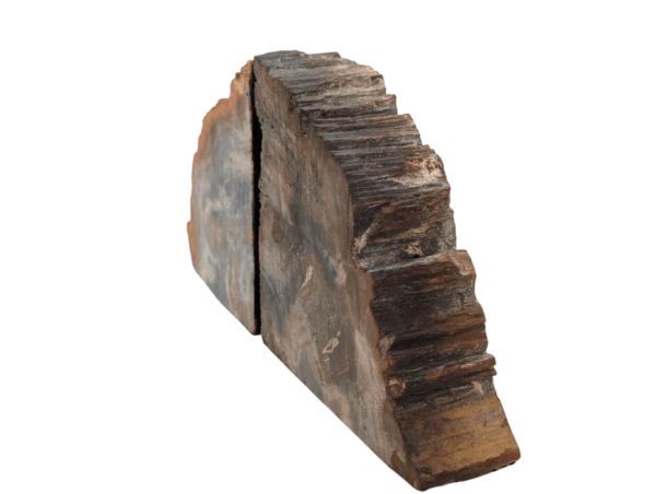 Petrified Wood Bookends - Image 6