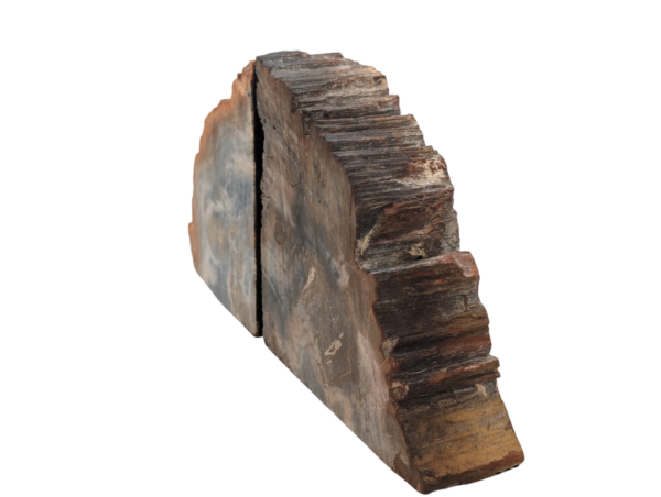 Petrified Wood Bookends - Image 7