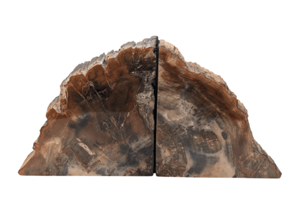 Petrified Wood Bookends - Image 5