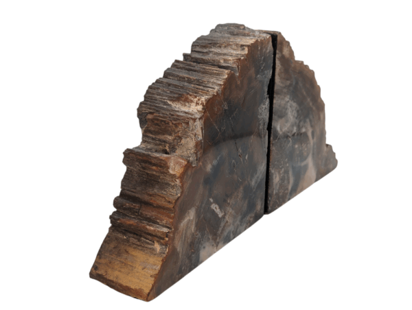 Petrified Wood Bookends - Image 4