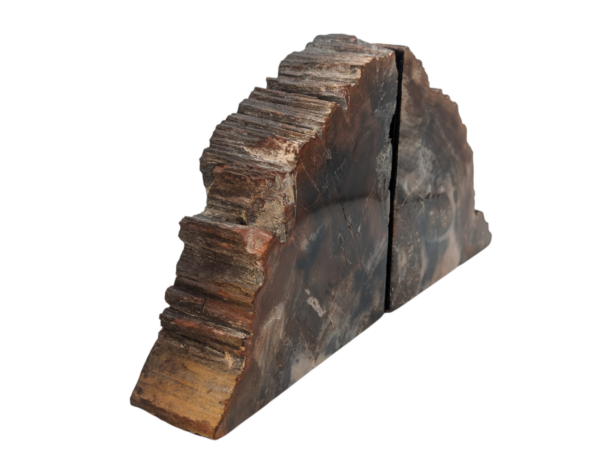 Petrified Wood Bookends - Image 5