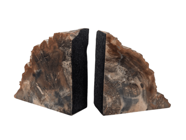 Petrified Wood Bookends - Image 3