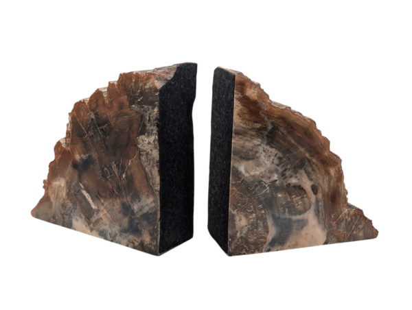 Petrified Wood Bookends - Image 6