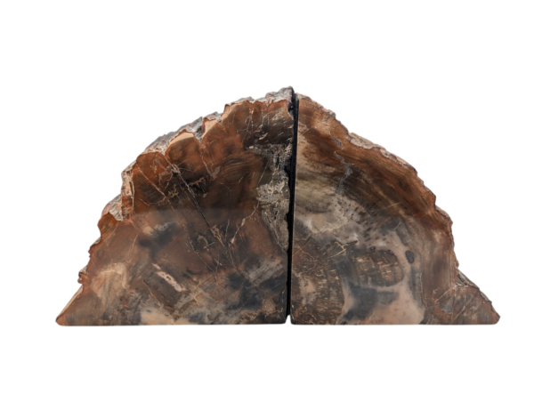 Petrified Wood Bookends - Image 2