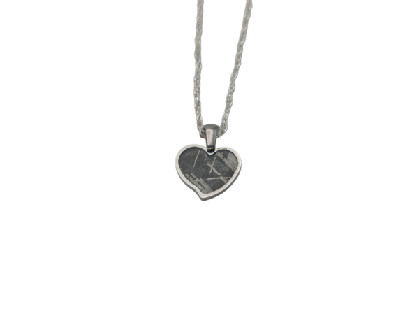 Aletai Meteorite Pendent Necklace