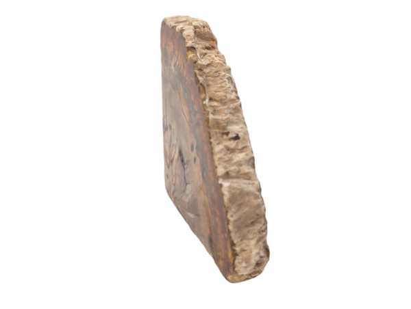 Polished Petrified Wood Slice - Image 5